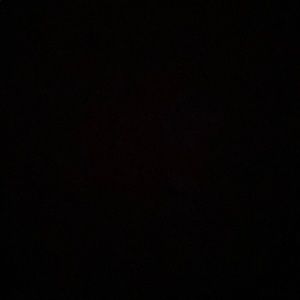 Meet your Posher, Lydia